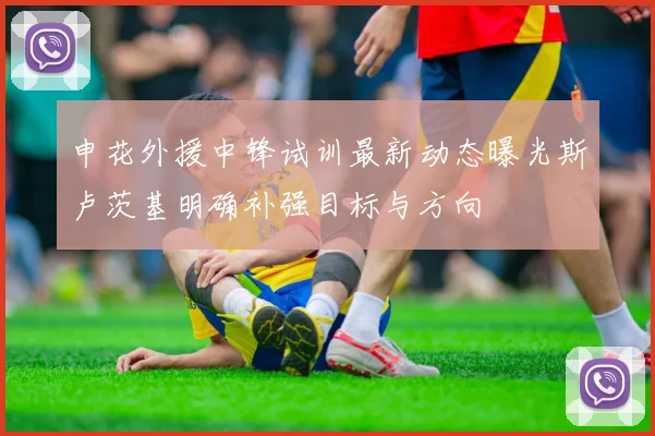 申花外援中锋试训最新动态曝光斯卢茨基明确补强目标与方向